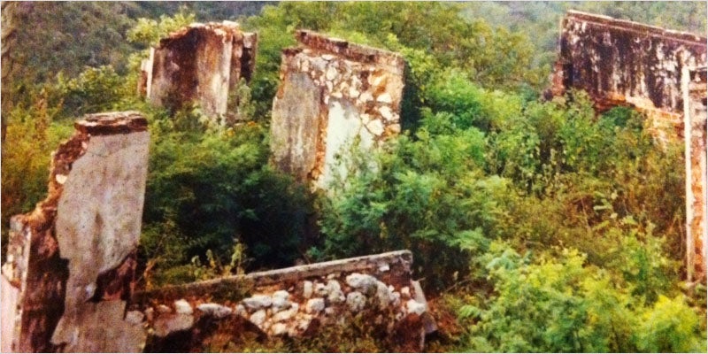 rastas at risk of being left out 1 Jamaican Rastas Are Getting A Raw Deal In The Cannabis Revolution