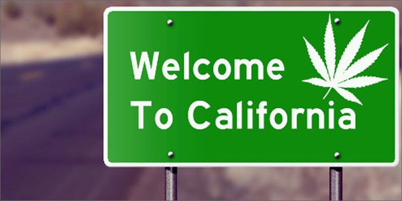 1 california legalize cannabis sign What The Green Scene Will Look Like In California