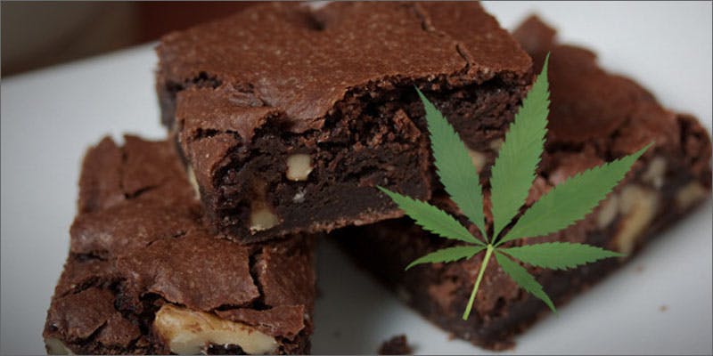1 dad gets high calls cat bitch pot brownies Dad Learns The Hard way: Dont Eat Random Backseat Brownies