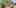 1 kentucky police grower hashtag peeling corn Cannabis And Sex: How Much Do You Really Know?