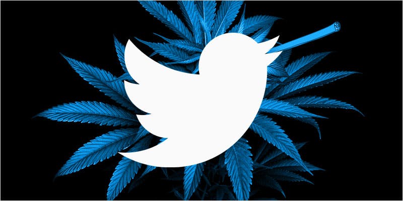 Did You Know Twitter Briefly Blocked Weed-Oriented Searches This Week