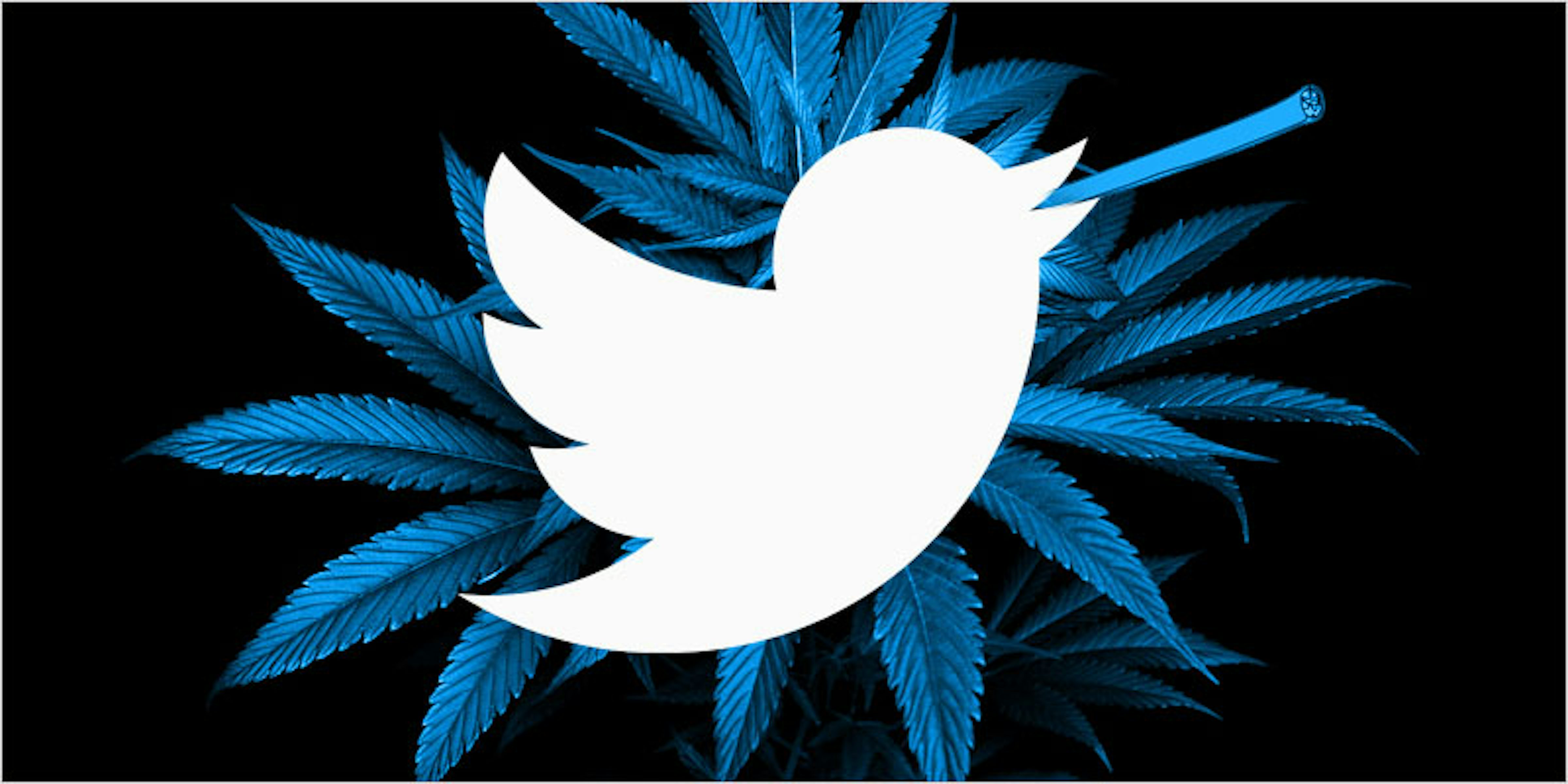 Did You Know Twitter Briefly Blocked Weed-Oriented Searches This Week Did You Know Twitter Briefly Blocked Weed-Oriented Searches This Week