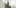 10 rarest cannabis strains pavarti State Of Marijuana: The Most Important Cannabis Event This Year