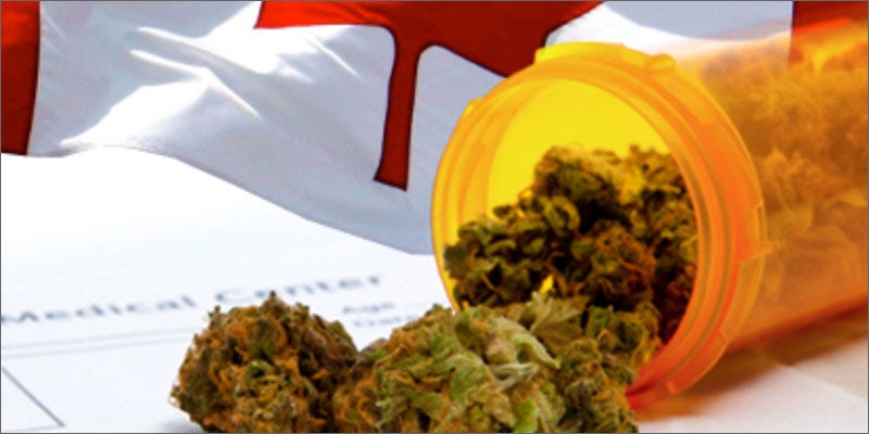 2 canadian cannabis study prescription Canada’s First Line Of Premium, Luxury Medical Marijuana Is Here
