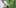 2 takeaways from deas marijuana decision examining pklant State Of Marijuana: The Most Important Cannabis Event This Year