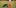 3 cannabis edible do or die toddler State Of Marijuana: The Most Important Cannabis Event This Year