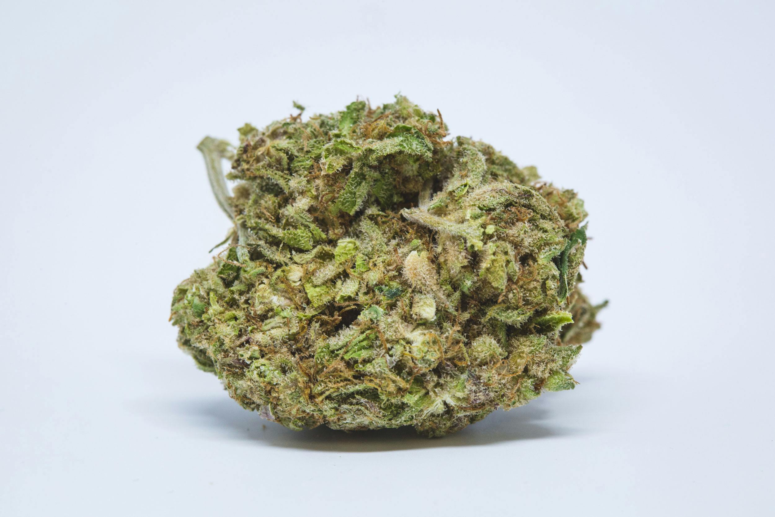 Agent Orange Strain Of Marijuana Herb Herb
