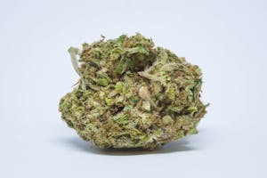 Agent Orange Marijuana Strain