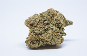 Blue Cheese Marijuana Strain