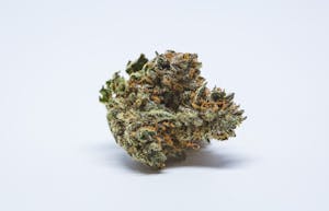 Blue Dream Marijuana Strain