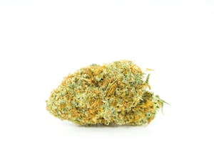 Amnesia Haze Marijuana Strain