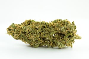 Animal Cookies Marijuana Strain