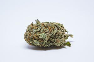 Berry White Marijuana Strain