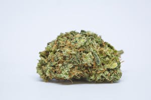 Cheese Marijuana Strain