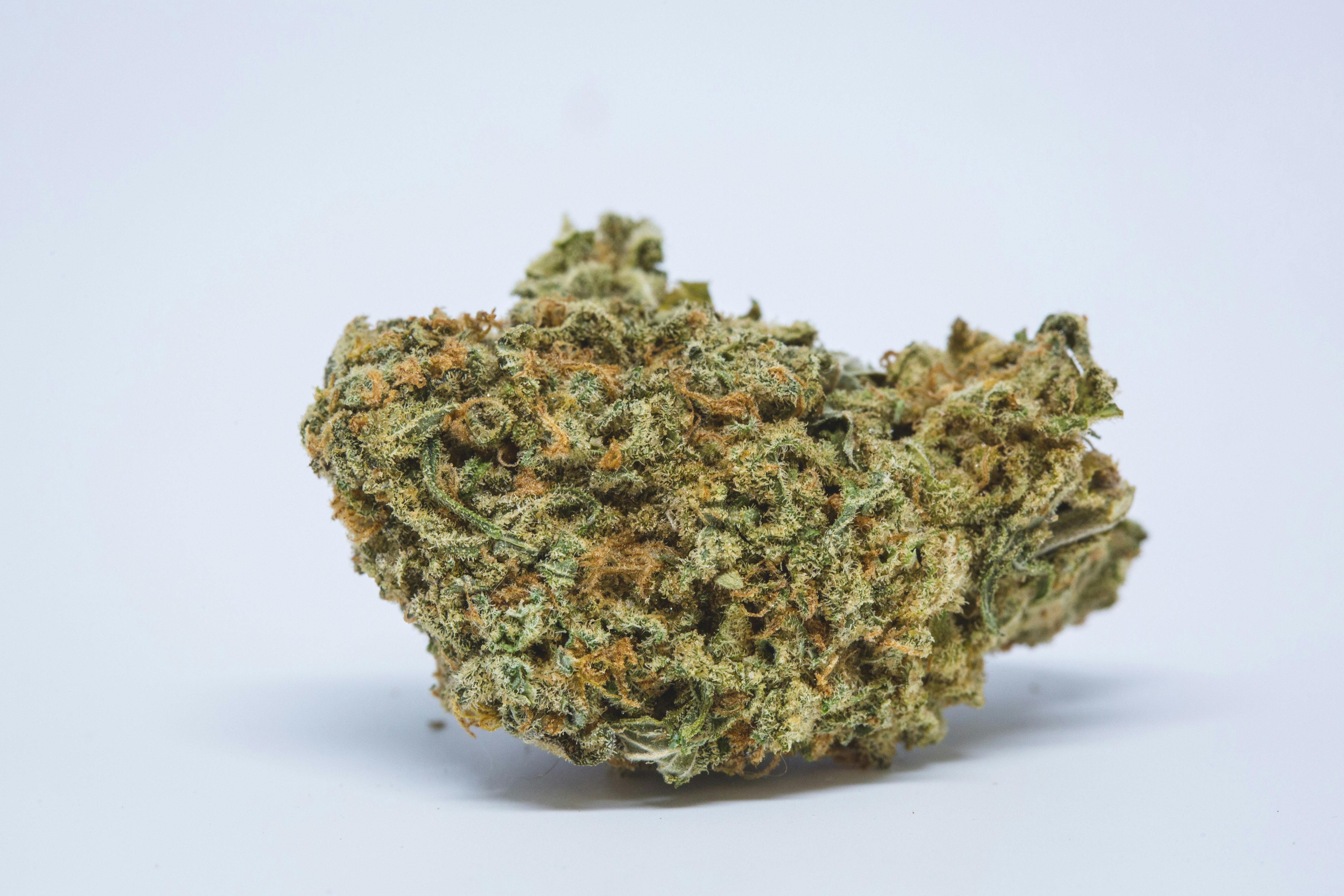 Durban Poison Weed; Durban Poison Cannabis Strain; Durban Poison Sativa Marijuana Strain