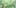 Cannabis Ruderalis 2 State Of Marijuana: The Most Important Cannabis Event This Year