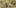 Cannabis Ruderalis 3 State Of Marijuana: The Most Important Cannabis Event This Year