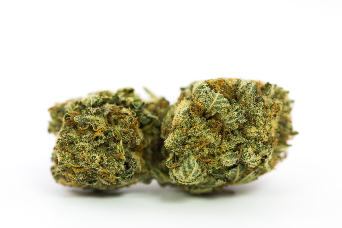 Chemdawg 4 - Hybrid Weed Strain - Premium Indica Strain - Discontinued