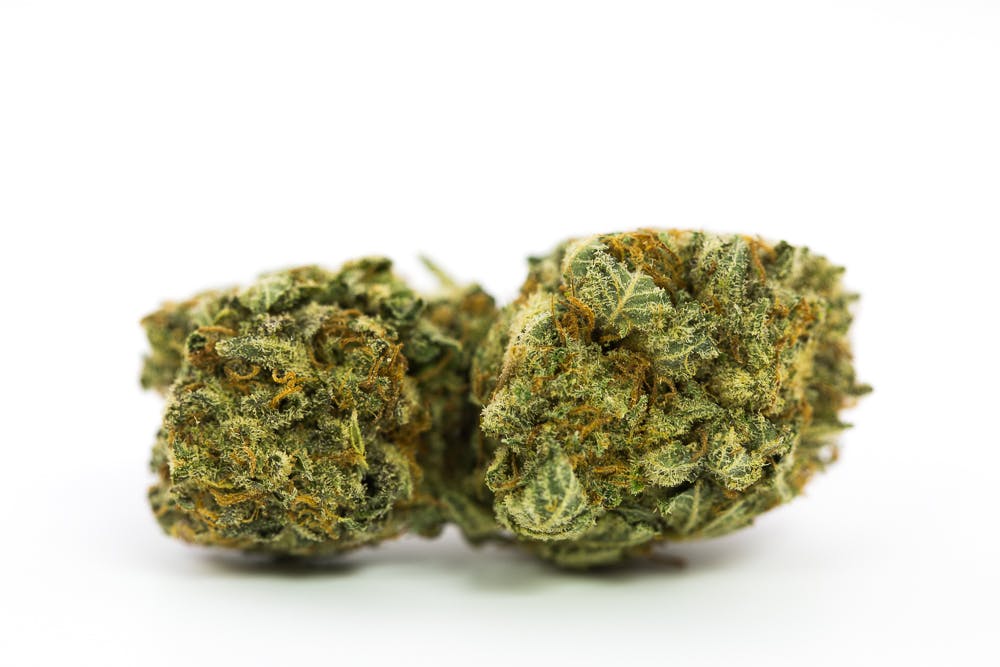 chemdawg marijuana strain