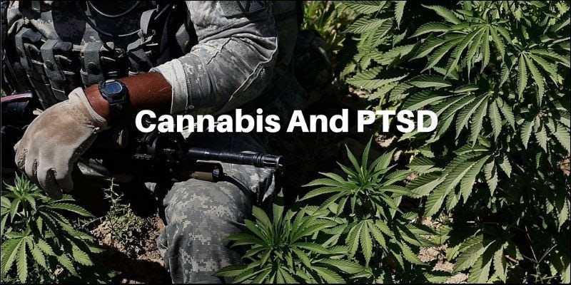 Christie to decide if pot to treat PTSD 2 Chris Christie To Decide If PTSD Can Be Treated With Medical Cannabis