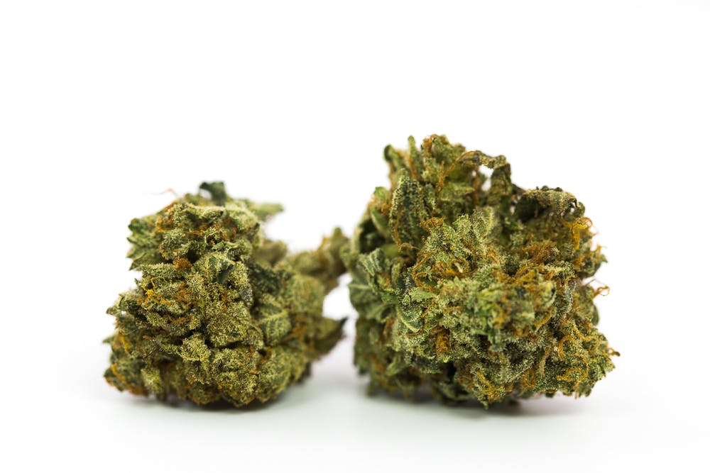 Cotton Candy Kush Weed; Cotton Candy Kush Cannabis Strain; Cotton Candy Kush Hybrid Marijuana Strain