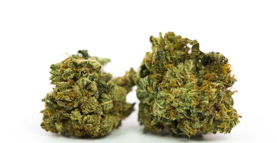 Cotton Candy Kush Weed; Cotton Candy Kush Cannabis Strain; Cotton Candy Kush Hybrid Marijuana Strain