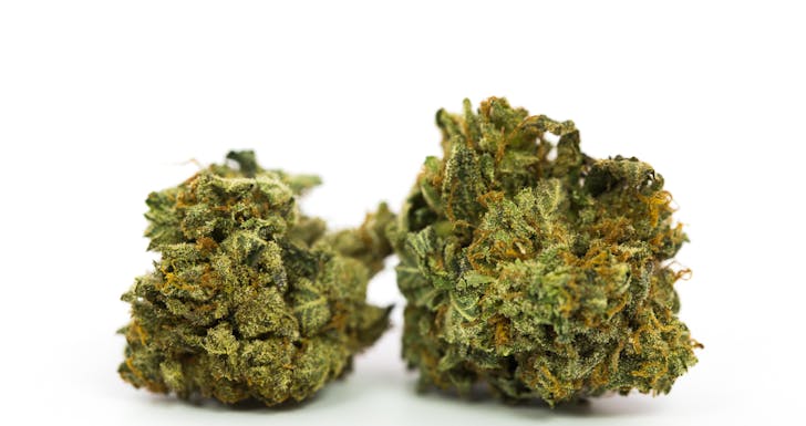 Cotton Candy Kush Weed; Cotton Candy Kush Cannabis Strain; Cotton Candy Kush Hybrid Marijuana Strain