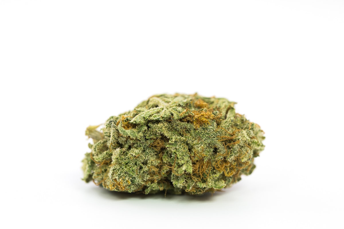 Girl Scout Cookies Strain Of Marijuana Weed Cannabis Herb Herb