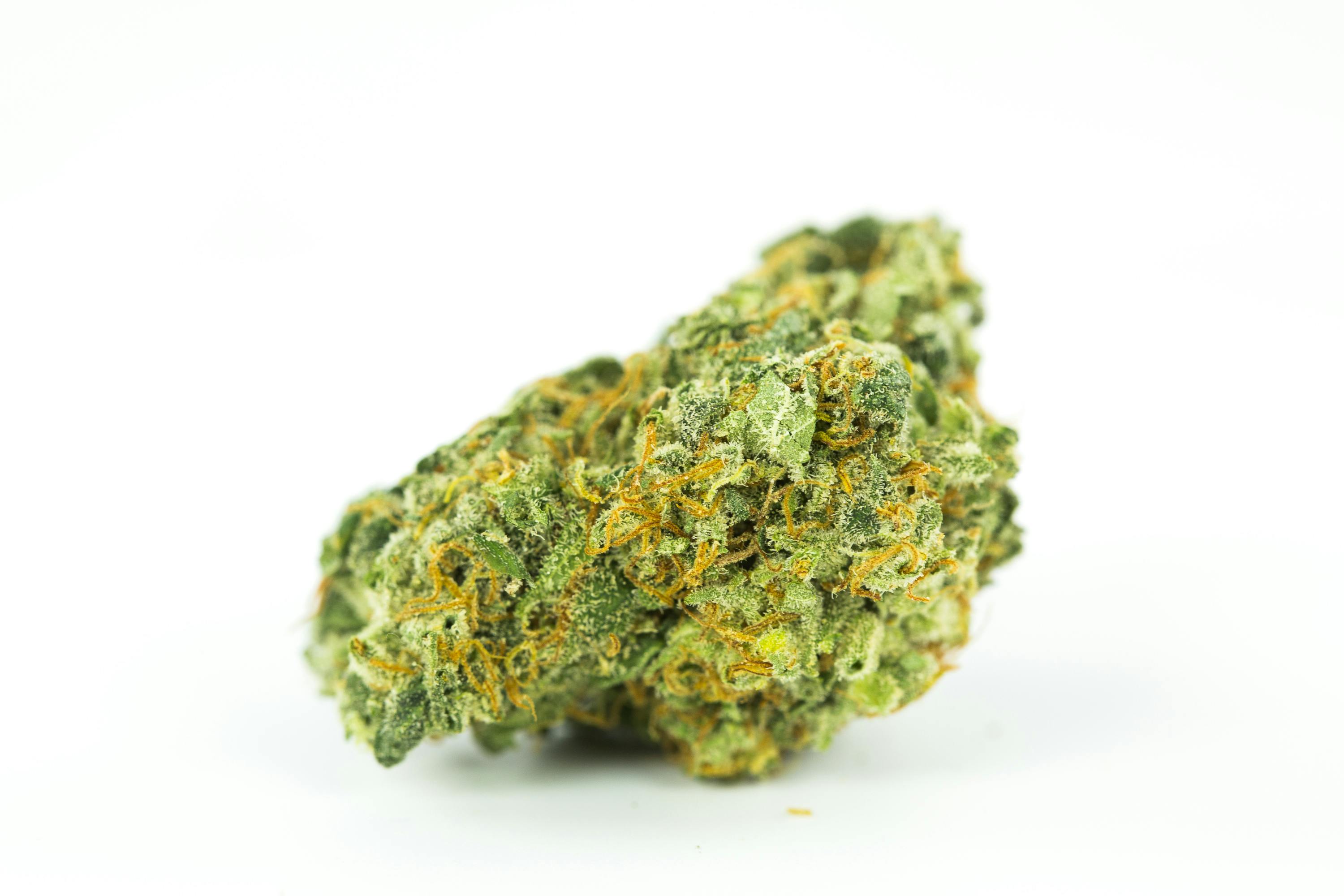 Gorilla Glue #4 Weed; Gorilla Glue Cannabis Strain; Gorilla Glue #4 Hybrid Marijuana Strain