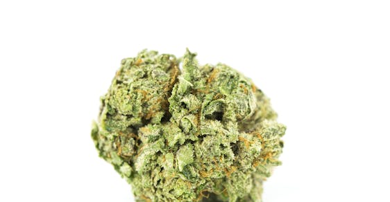 Granddaddy Purple Weed; Granddaddy Purple Cannabis Strain; Granddaddy Purple Indica Marijuana Strain
