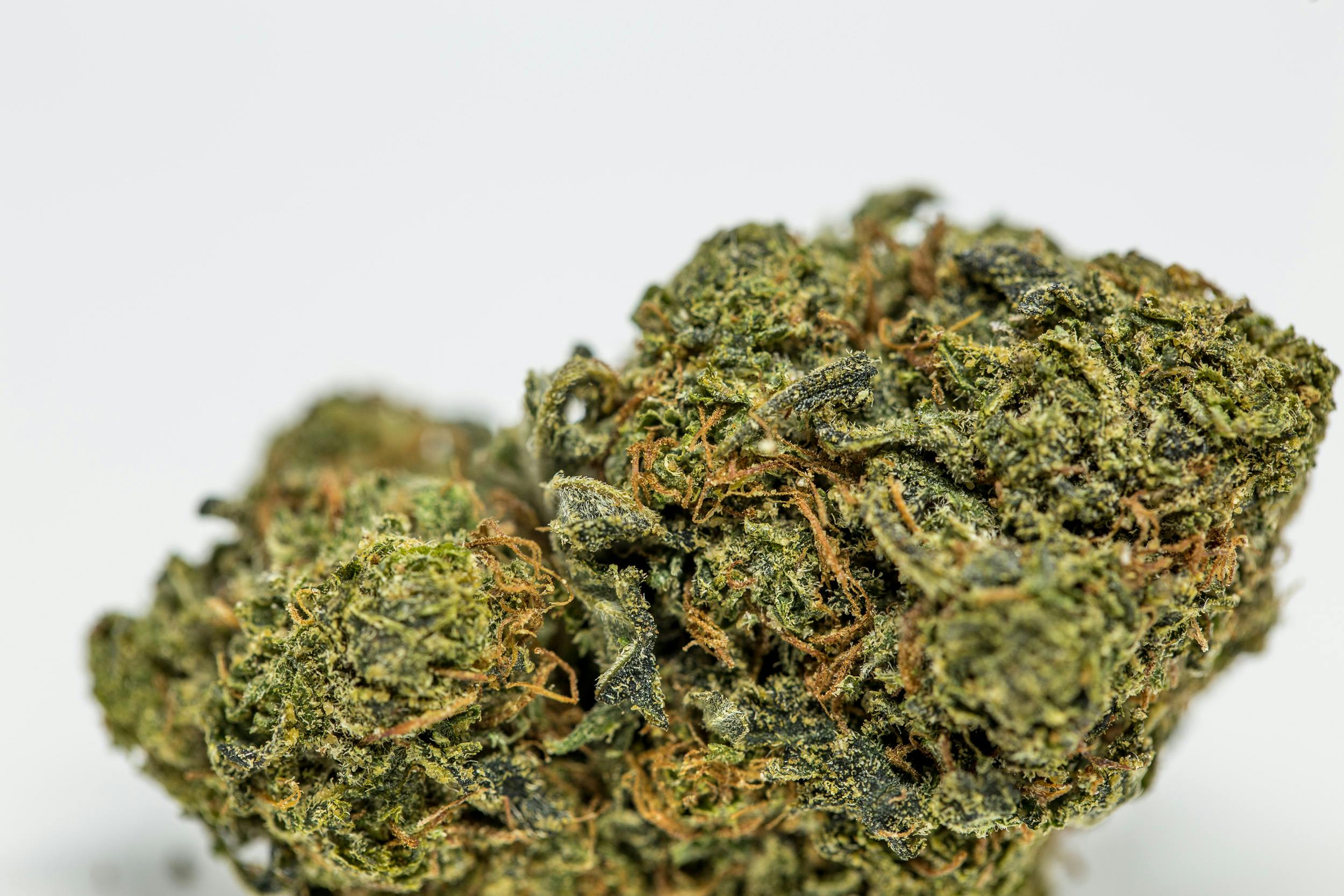 Green Crack Weed; Green Crack Cannabis Strain; Green Crack Sativa Strain