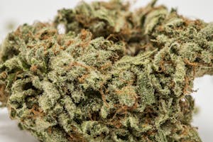 LA Confidential Marijuana Strain