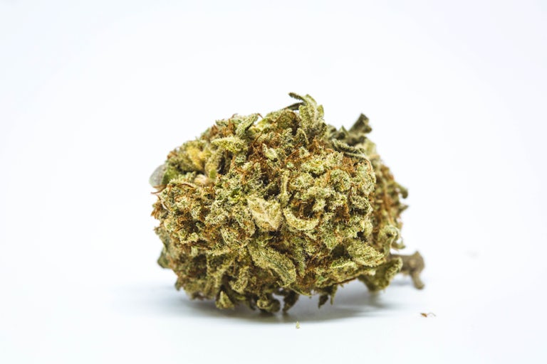 Lamb%E2%80%99s Breath Landrace Strains: Alles wat u moet weten over Landrace Cannabis Strains