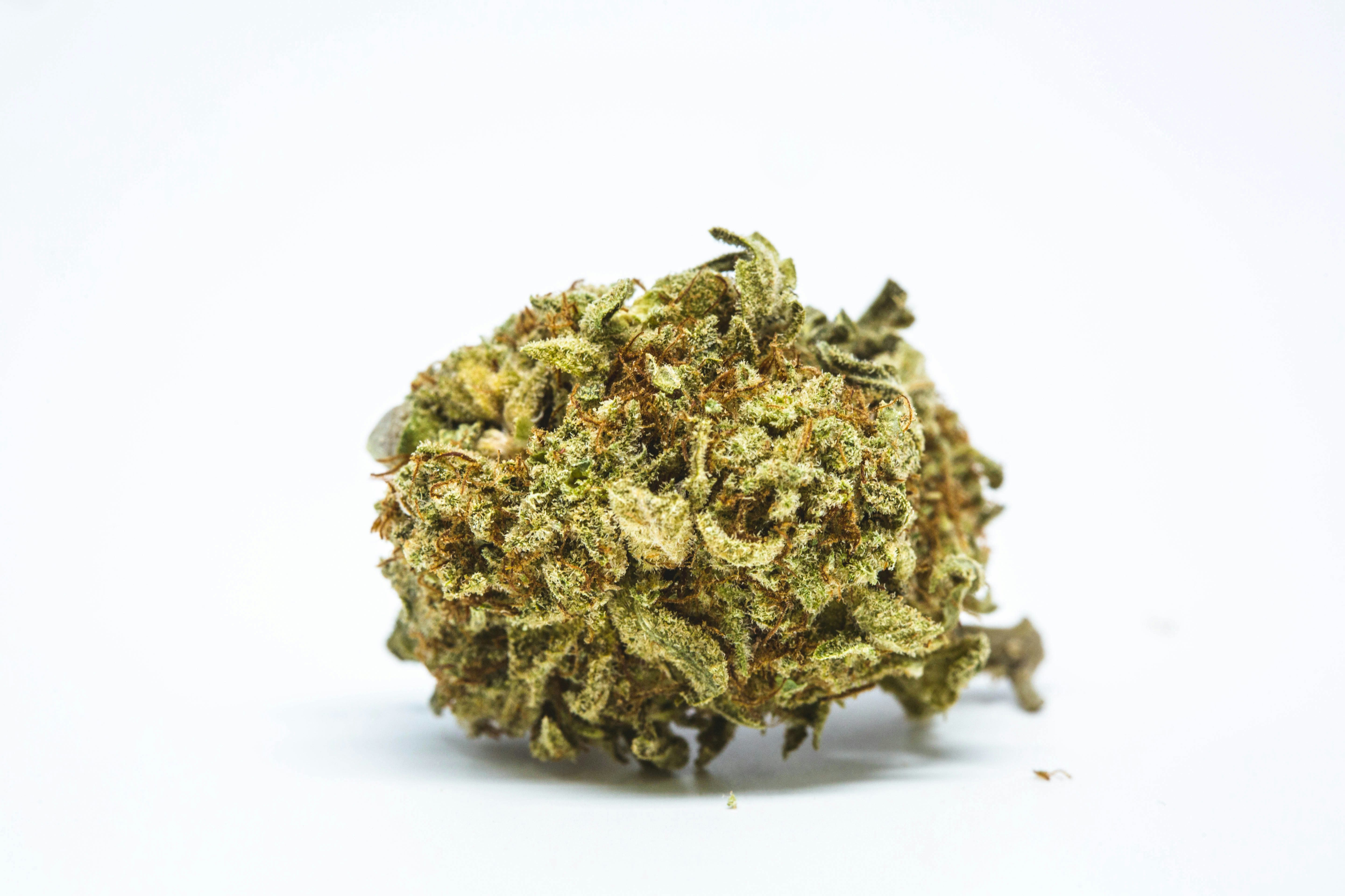 Lamb%E2%80%99s Breath Landrace Strains: Everything You Need To Know About Landrace Cannabis Strains