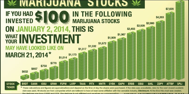 Lands 93M for Investments 10 Money DOES Grow On Trees For These Cannabis Investors