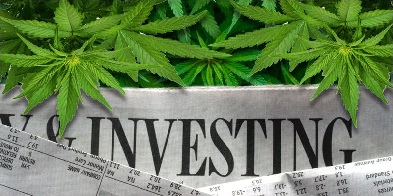 Cannabis Investors