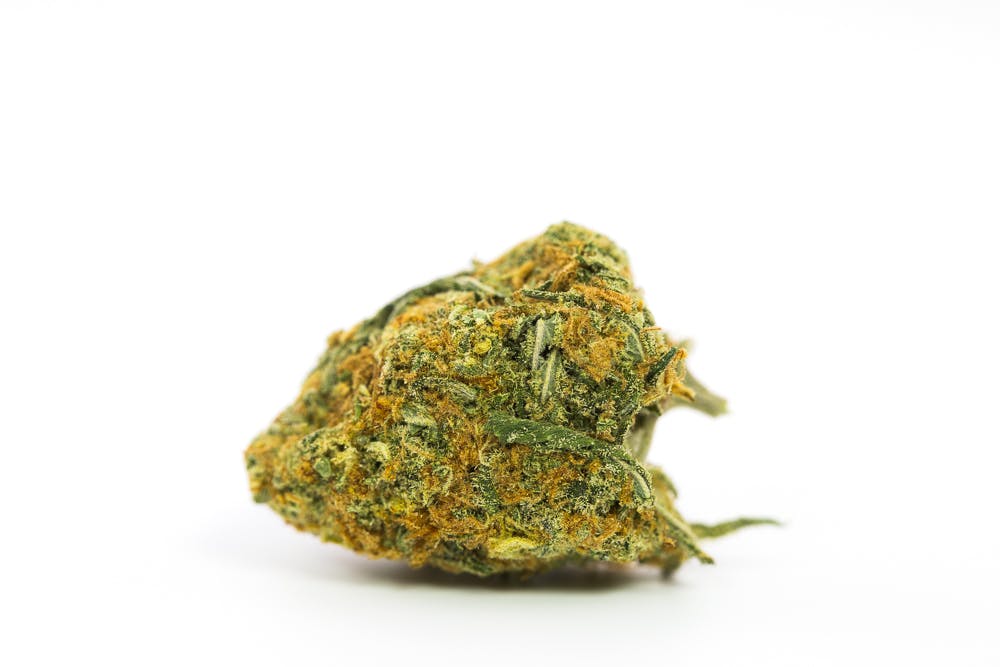 Lemon Kush Weed; Lemon Ksh Cannabis Strain; Lemon Kush Hybrid Marijuana Strain