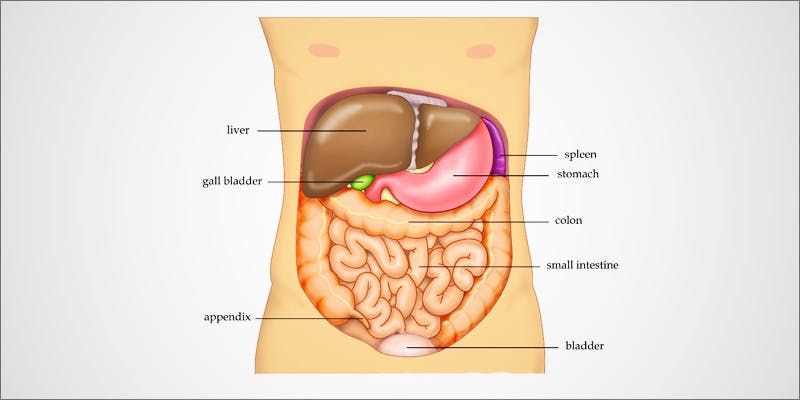 Liver Cancer With Cannabis 1 How Patients Treat Liver Cancer With Cannabis