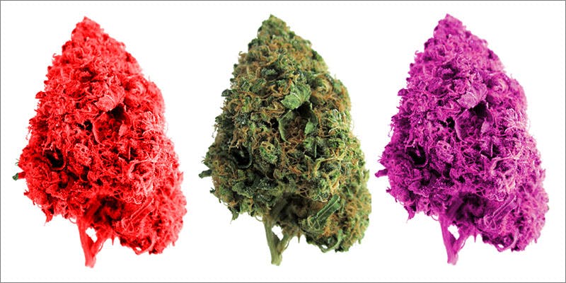 Bud Colors