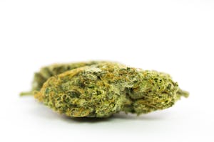 Dr. Grinspoon Marijuana Strain