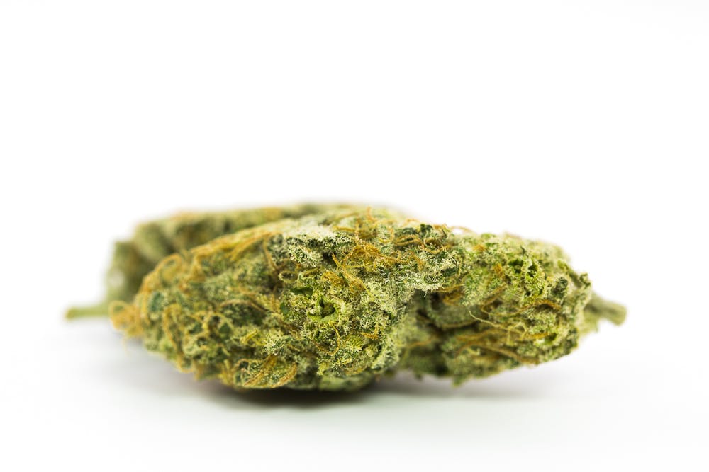 Dr. Grinspoon Weed; Dr. Grinspoon Cannabis Strain; Dr. Grinspoon Sativa Marijuana Strain