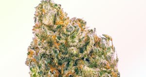 Strains Sense: Chemdawg