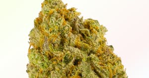 Strains Sense: Lemon Kush