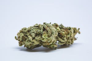 Island Sweet Skunk Marijuana Strain