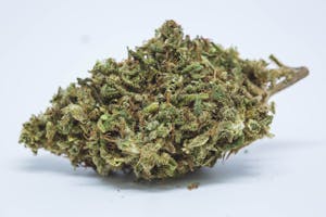 Chocolate Thai Marijuana Strain