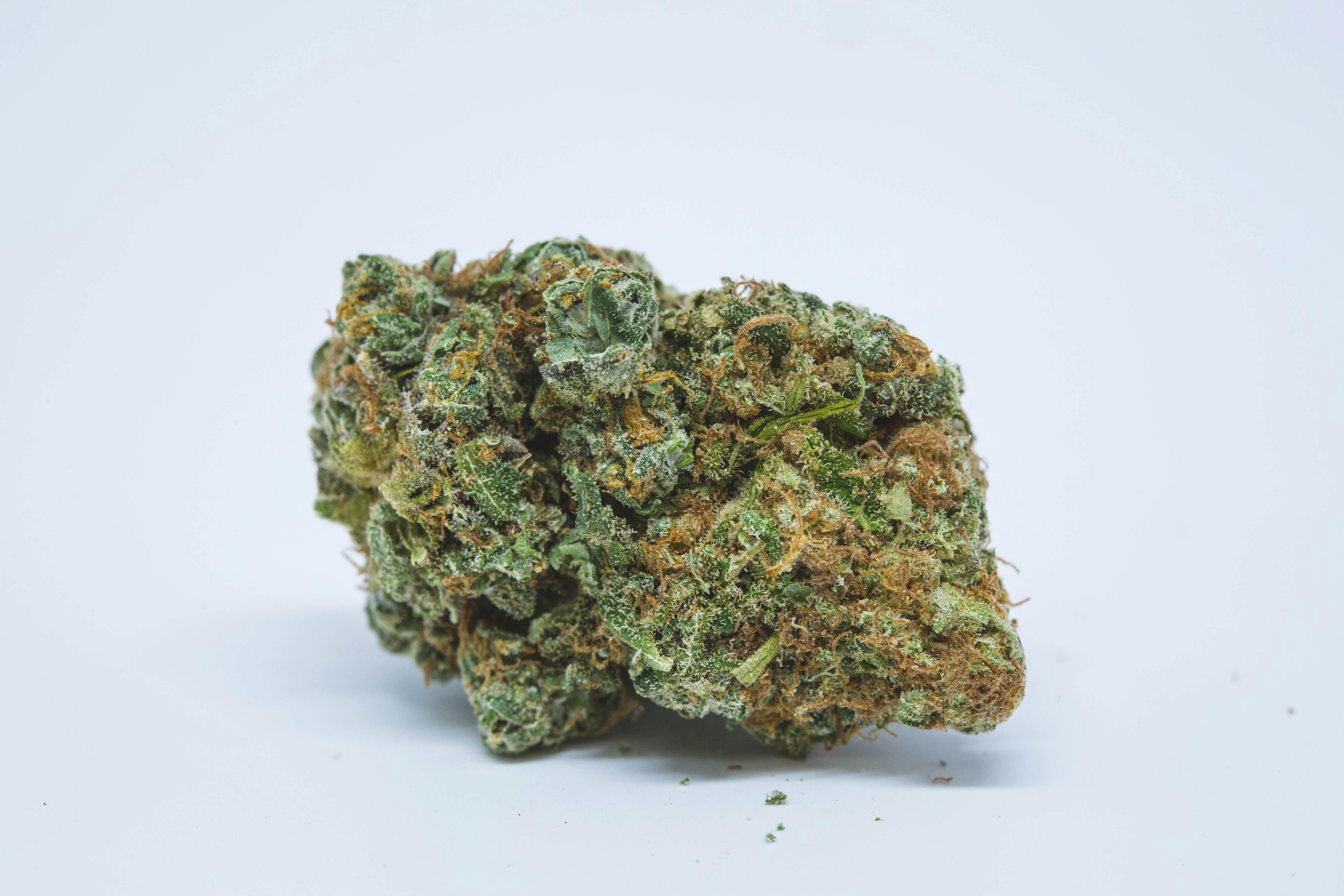 Cinex Weed; Cinex Cannabis Strain; Cinex Sativa Marijuana Strain