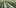 World Records Of Cannabis 1 State Of Marijuana: The Most Important Cannabis Event This Year