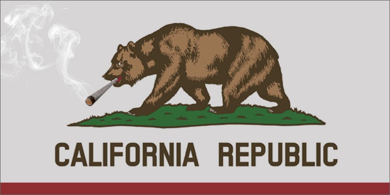 california legalize cannabis hero 21 Shocking Weed Facts That Will Make You Say OMG