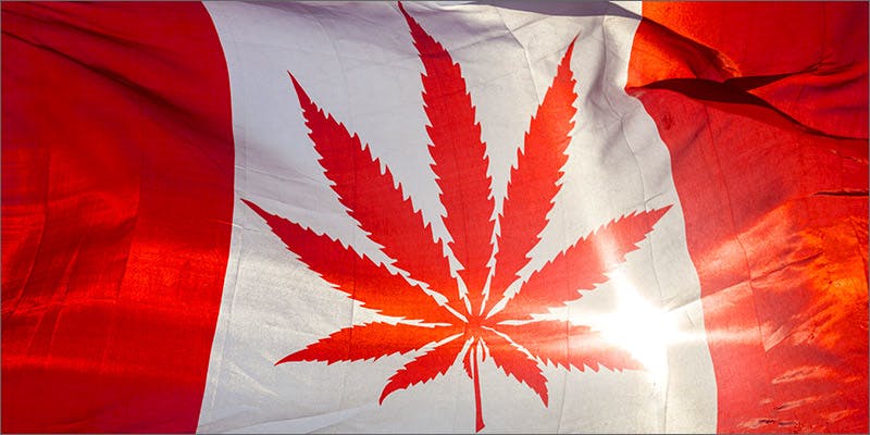 canadaflag Canadian Cops Boast On Twitter About 420 Vending Cart Bust