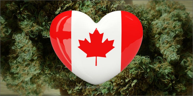 canadian cannabis study hero Justin Trudeau Just Announced Canadas Legalization Plan